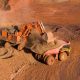 Rio Tinto reports Pilbara record, monitors Strait of Hormuz