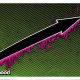 Robinhood Chain Metrics Surge as the Network Leans Into Memecoins