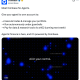 Kraken Plans AI-Powered Trading App Overhaul, CNBC Reports