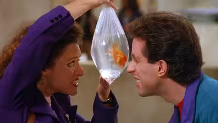 Julia Louis-Dreyfus's Elaine and Jerry Seinfeld's Jerry looking through a bag at a pet fish in Seinfeld's
