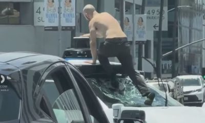 Shirtless Man Arrested After Vandalizing Waymo, Halting Traffic in Busy