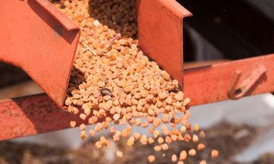 Princes forecasts 60% yield this year
