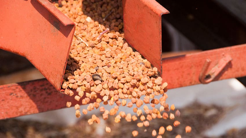Princes forecasts 60% yield this year