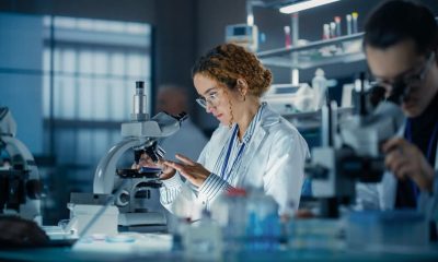 six in ten SMEs cut innovation spend
