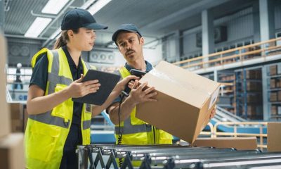 Sustainable Boxes & Mailers Compared