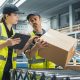 Sustainable Boxes & Mailers Compared