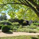 Why Trees Belong on the Risk Register