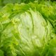 Taco Bell Lettuce Supplied by Taylor Farms Investigated as Source