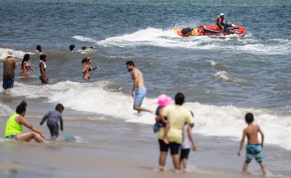 Swimmer bitten in suspected shark attack at New York City beach