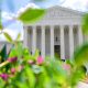 Administration asks Supreme Court to allow mail-in voting order
