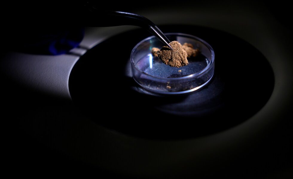 Brazil uses gold fingerprinting to trace illegal Amazon mining