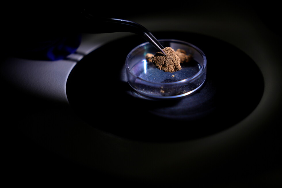 Brazil uses gold fingerprinting to trace illegal Amazon mining