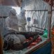 AP reporter recounts a month covering Ebola in Congo's outbreak