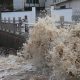 Chinese evacuates more than 1 million as Typhoon Bavi makes landfall