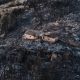 Firefighters and helicopters battle deadly wildfires in Spain