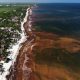Record seaweed threat to tourism, environment in Mexico and Caribbean