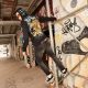 What It Takes to Be a Fashion Maximalist
