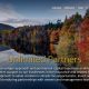 White Mountains Insurance Jumps Over 5% as Its Stock Nears