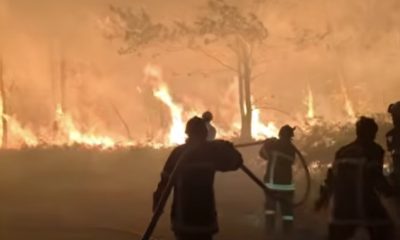 Wildfires Force 250,000 to Flee Homes in France and Spain