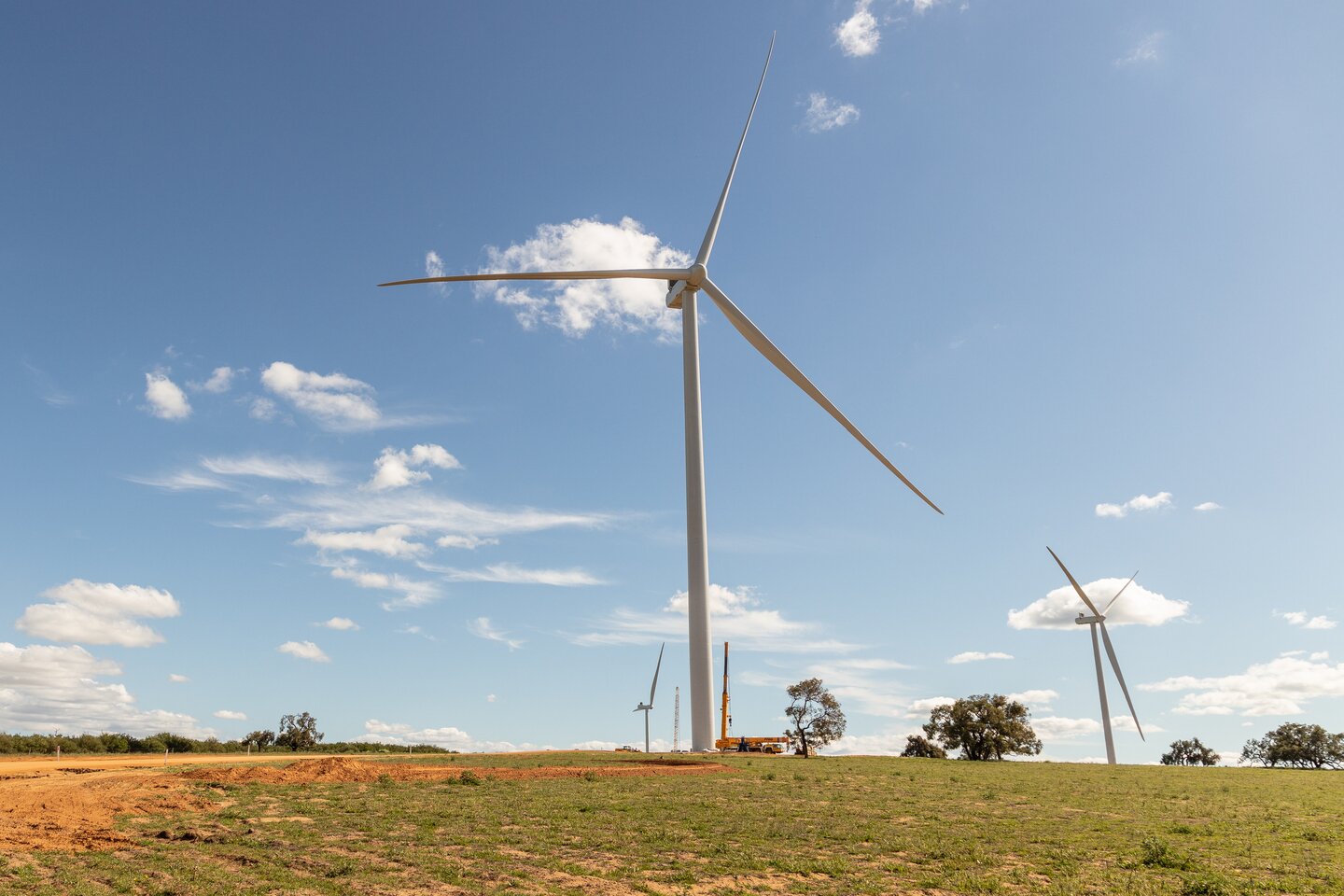 Narrogin wind farm underway after Synergy-Neoen deal