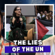 ‘The UN has no shame’