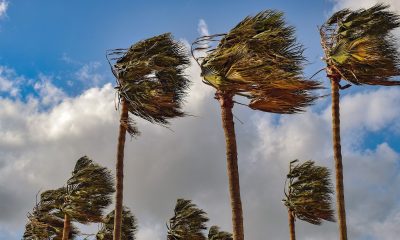 Cluster of headwinds gang up on bitcoin and wider crypto market