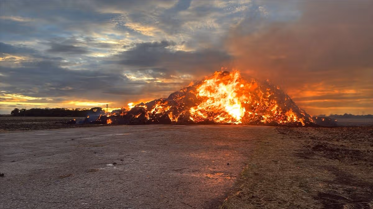 Cambridgeshire Live