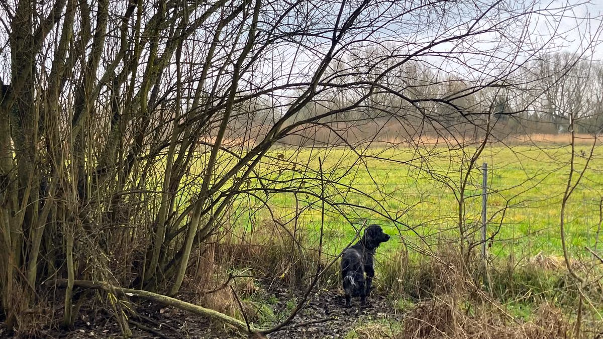 Cambridgeshire Live