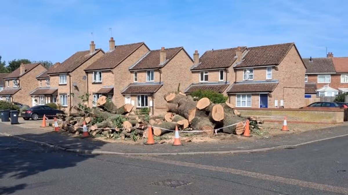 Cambridgeshire Live