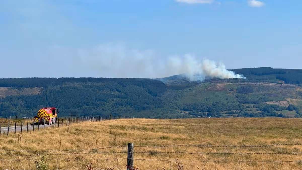 Wales Online