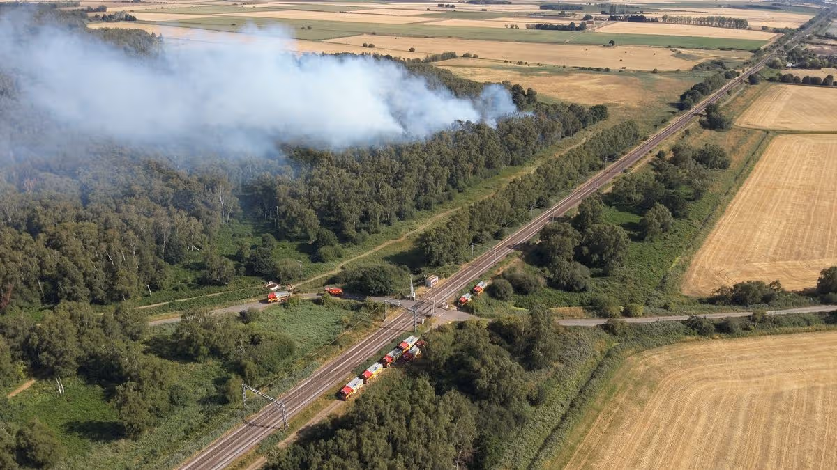 Cambridgeshire Live