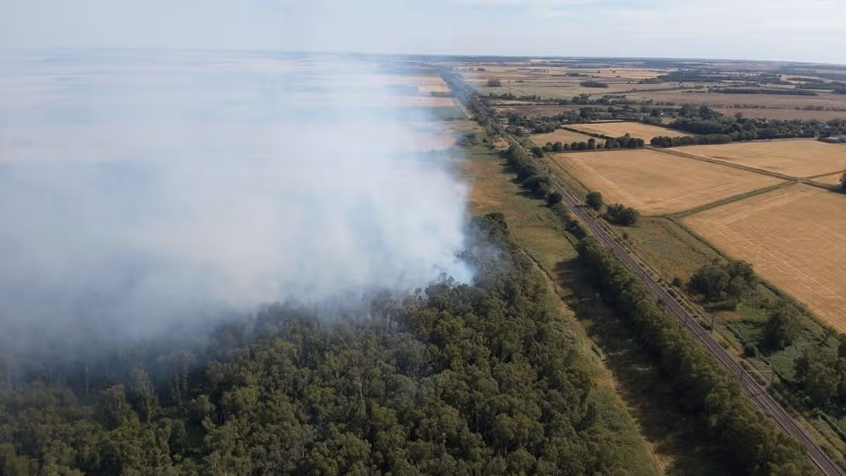 Cambridgeshire Live