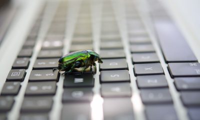 Some Bitcoin developers say they're finding a critical bug every hour