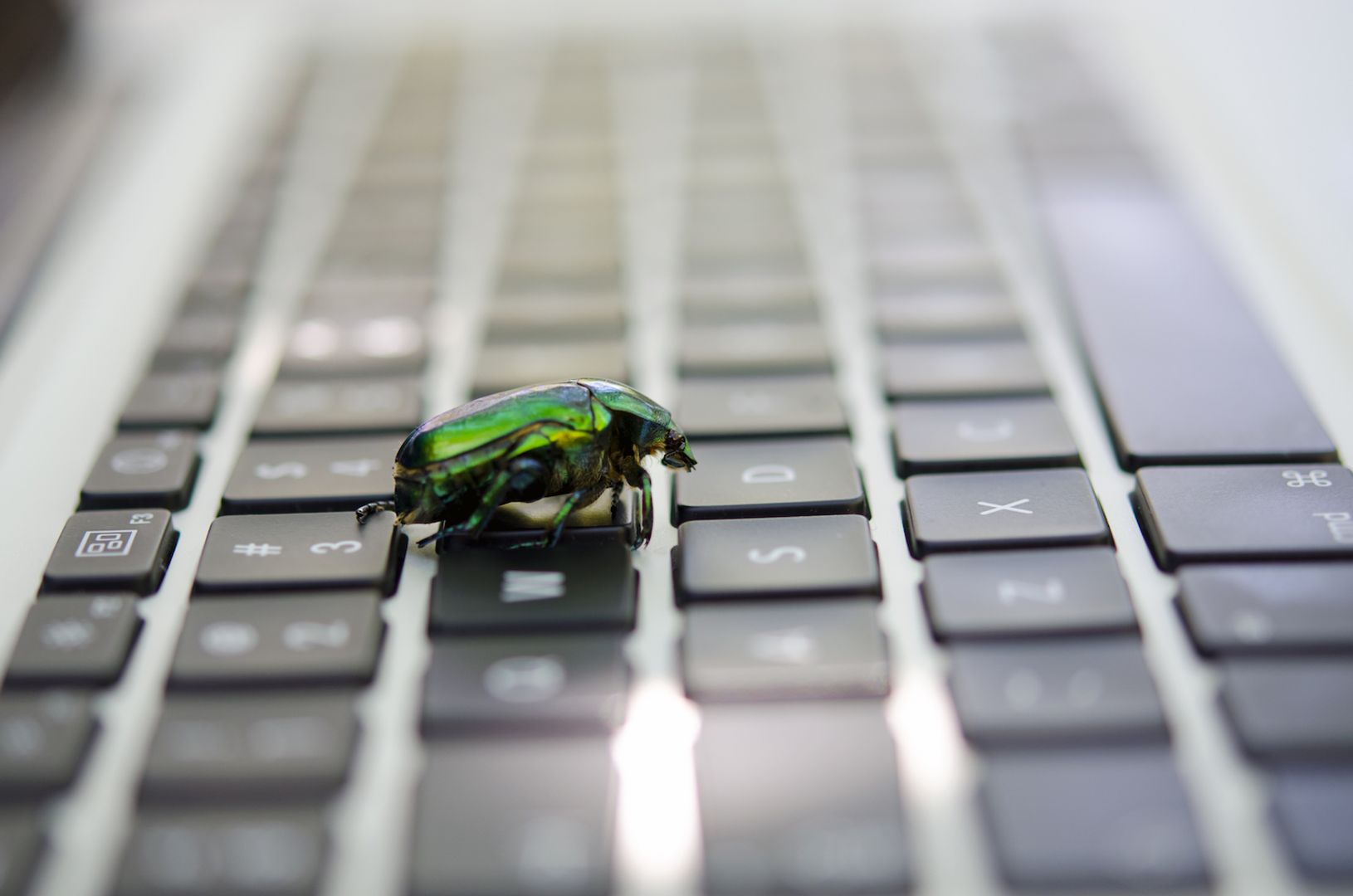Some Bitcoin developers say they're finding a critical bug every hour