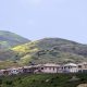 Foreigners are buying fewer U.S. properties