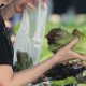 Cyclospora fears lead consumers to lose their appetite for salads