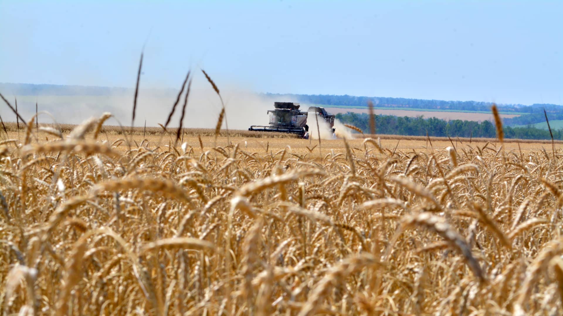 Corn and wheat prices jump to highest prices in more than three years