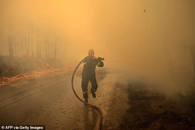 A Greek firefighter tries to extinguish a wildfire in the area of Porto Germeno