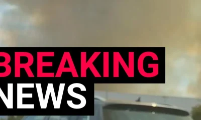 Wildfires wreak havoc shutting down trains to major London airport | News UK