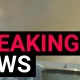Wildfires wreak havoc shutting down trains to major London airport | News UK