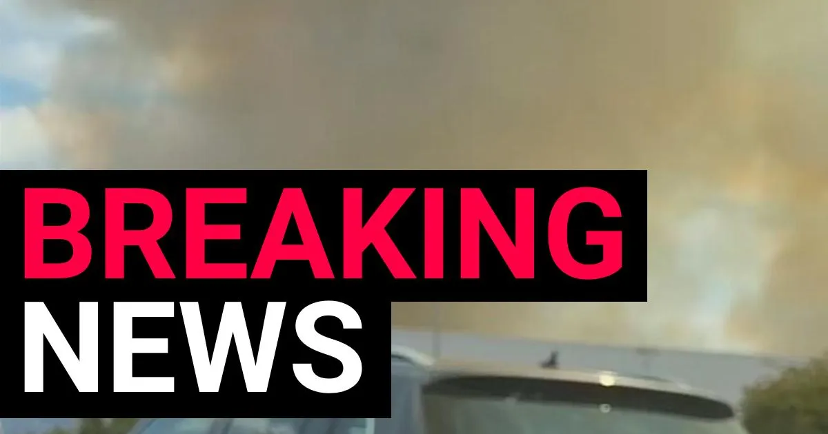 Wildfires wreak havoc shutting down trains to major London airport | News UK