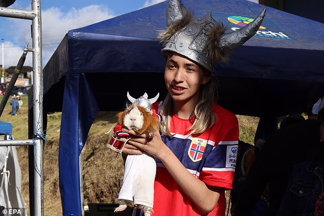 David Guerrero, a participant at the Urbina Guinea Pig Festival in Ecuador, dressed his pet as the world-class footballer for the sixth annual competition