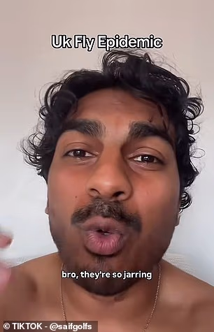 ‘I feel like I’m going mad,’ one person said on TikTok. ‘They’re so jarring. I’m trying to cook and you’re swarmed by an army of them in your own home'