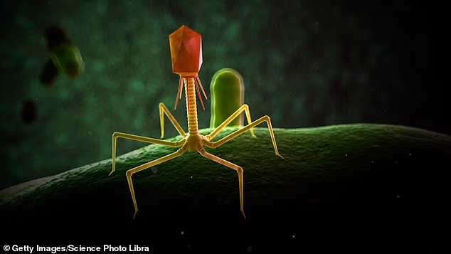 Scientists have used AI to design a new virus that was capable of infecting other cells