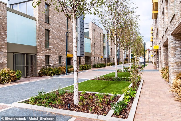New-build woes: A This is Money has lost a parking space and communal grounds due to a new block of flats (stock image)