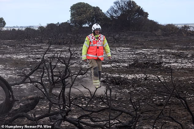 Emergency services inspect the scene of the wildfire at Dunwich Heath, on the Suffolk coast on July 31, 2026