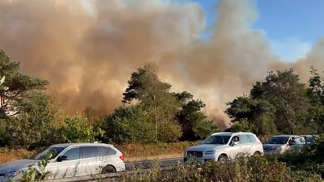 Drivers were ordered to leave their cars 'if you want to stay alive' on the A31 in Hampshire