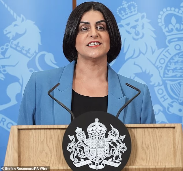 Shabana Mahmood described a £662million beach patrols deal with the French government, signed in April, as a ‘landmark agreement’ with the country