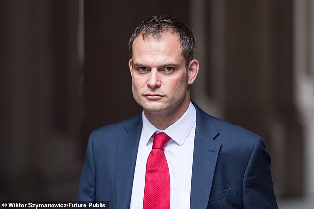 In comments likely to enrage Brexiteers Hamish Falconer said he wanted the UK to have a 'deeper ... more ambitious relationship' with Brussels on his watch