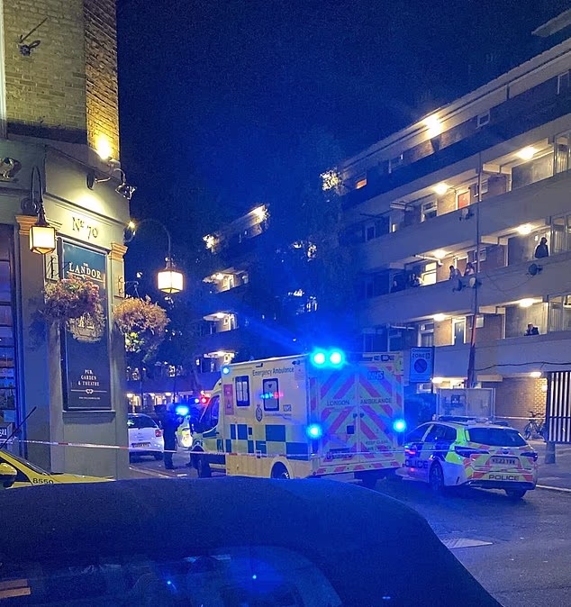 Police and paramedics outside the Landor pub in Clapham on Monday night